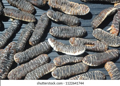 Dried Sea Cucumber