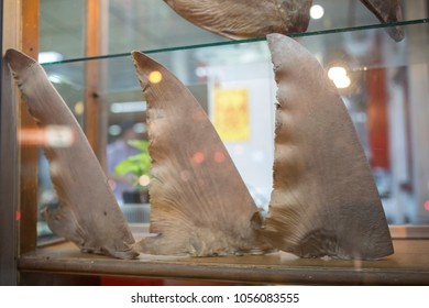 Dried Shark Fins On Display In Front Of Chinese Restaurant.