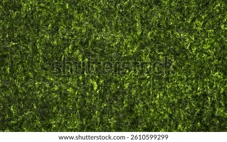 Dried sheet seaweed texture as background, top view. Crispy laver nori pattern.