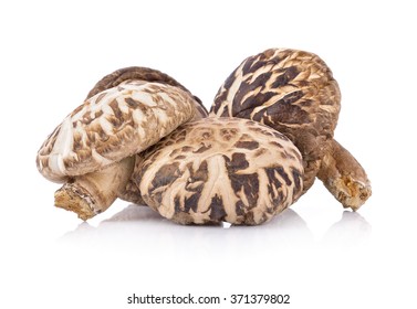 Dried Shiitake Mushroom