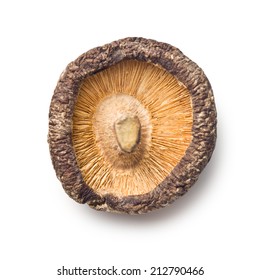 Dried Shiitake Mushroom On White Table