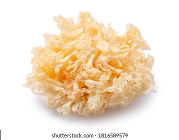 Dried snow fungus, also known as snow ear, white jelly mushroom, silver wood ear fungus isolated on white background, clipping path cut out.