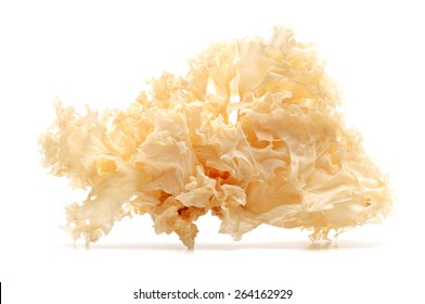 Dried snow fungus on a white background