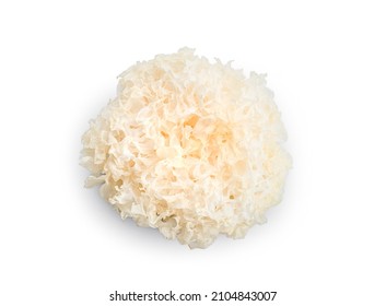 Dried snow fungus (Tremella fuciformis) isolated on white background