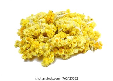 dried spice of Helichrysum arenarium flower
