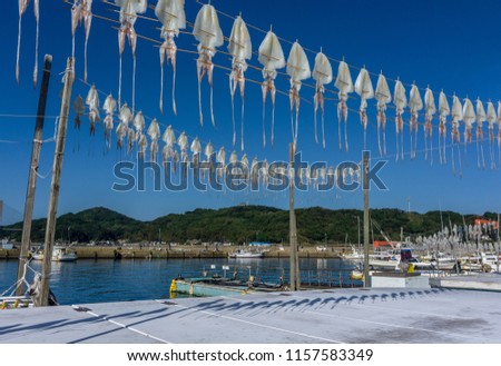 Dried squid hanging on string at Yobuko Port located on the Higashi Matsuura Peninsula in the northwestern part of karatsu. traditional in morning market at Yobuko, Saga, Karatsu, Kyushu, Japan