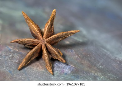 Dried Star Anise Flower On Gradient Grey Background. 