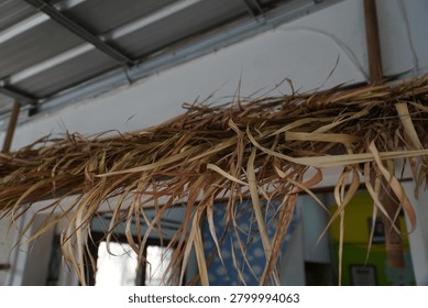 Dried straw or thatch hanging from a ceiling in an indoor space