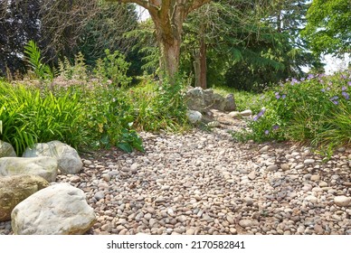 Dried Up Stream Bed Example