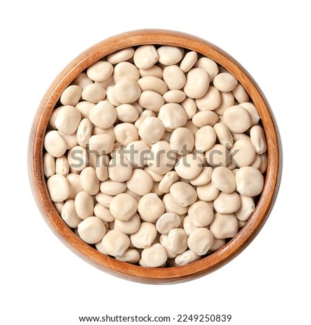 Dried sweet lupin beans, in a wooden bowl. Also known as white lupin or field lupine. Seeds of Lupinus albus, with low content of antinutrients and alkaloids, used as protein source and for sprouting.