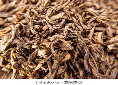 Dried tobacco close-up, large rolled tobacco leaves. Macro photography