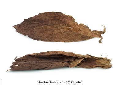 Dried tobacco leaves white isolated. Cuban aged tobacco