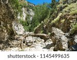 Dried tree lying on a path in a mountain gorge