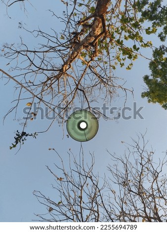 Similar – Image, Stock Photo spring lamp Colour photo