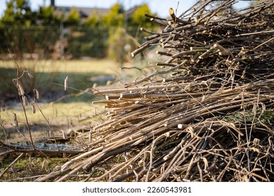 Dried twigs in a pile in a garden on late autumn day. - Shutterstock ID 2260543981