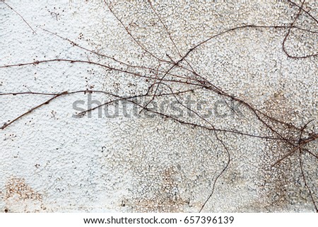 Similar – Image, Stock Photo Ivy Wall Environment