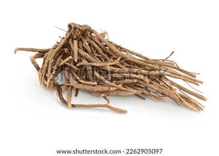 Dried Valerian root isolated on white background. Valeriana officinalis with full depth of field.