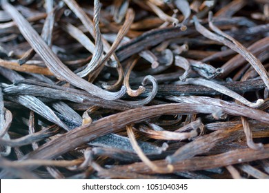 Dried Vanilla Beans Fruits In Rarotonga Market, Cook Islands. Food Background And Texture.No People. Copy Space