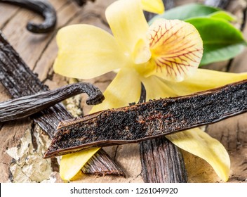Dried vanilla stick and vanilla orchid on wooden table. Close-up.