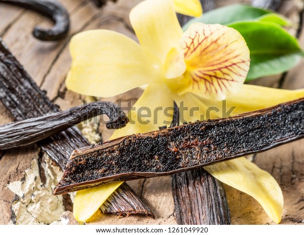 Dried vanilla stick and vanilla orchid on\
wooden table. Close-up.