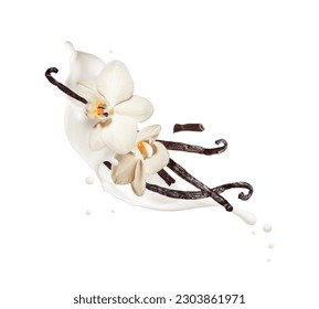 Dried vanilla sticks with flowers in dairy splashes close up, isolated on a white background
