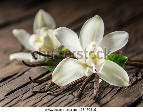 Dried vanilla sticks and vanilla orchid on\
wooden table. Close-up.