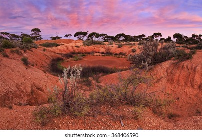 Dried Water Hole In Red Soil Of Australian Outback Between Eucalyptus Trees And Bushes At Sunset