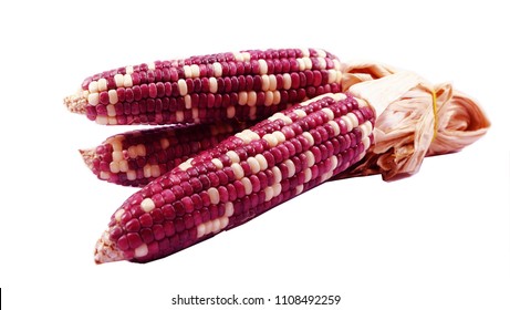 Dried waxy corn on isolated background with clipping path  - Shutterstock ID 1108492259