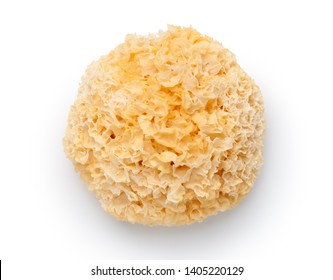  Dried white fungus (Tremella fuciformis) isolated on white background. Top view.