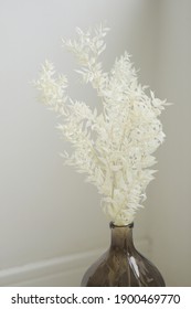 Dried White Ruscus In Vase.