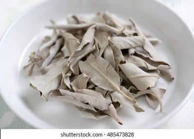 Dried White Sage