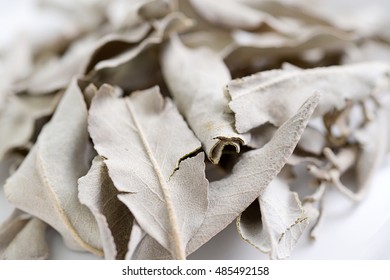 Dried White Sage