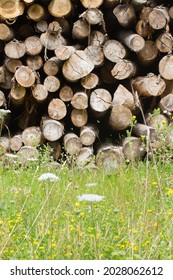 dried wood stack of small trunks with green and flowers as biodiversity in the forefront - Shutterstock ID 2028062612