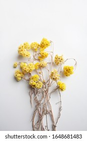 Dried Yellow Tansy Flowers Bouquet Isolated On White Background From A High Angle View