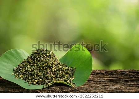 Dried young plant in the lotus seeds on lotus green leaf background.