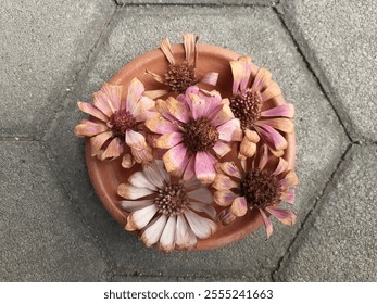 Dried Zinnia flowers on earthenware plate. - Powered by Shutterstock