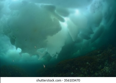 drift ice diving