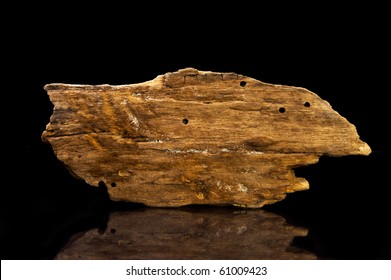 Drift wood on black background with reflection