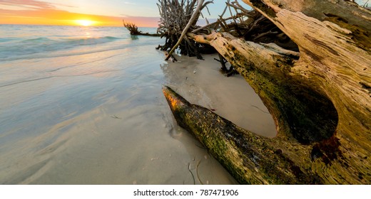 Drift Wood Sunset