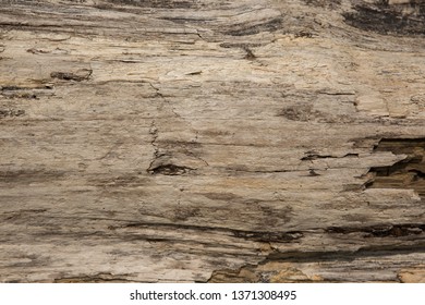 Drift Wood Textures Background Close Wood Stock Photo 1371308495 ...