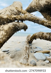 The drifter at the beach
