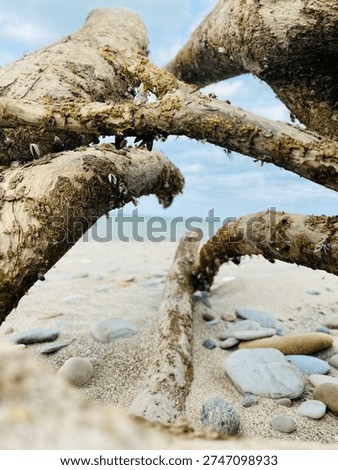The drifter at the beach