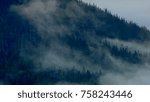 Drifting mist over trees Inversion Mt. Hood Oregon Cascades 7