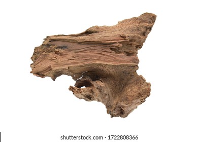 Driftwood/ aged wood isolated on white background with clipping path. Closeup piece of driftwood for aquarium.