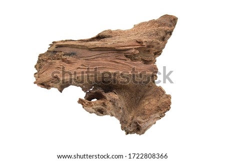 Driftwood/ aged wood isolated on white background with clipping path. Closeup piece of driftwood for aquarium.