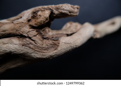 Driftwood/ aged wood over dark background. Isolated piece of driftwood stick top view close up. Driftwood stick closeup, wood texture.Driftwood for aquarium.