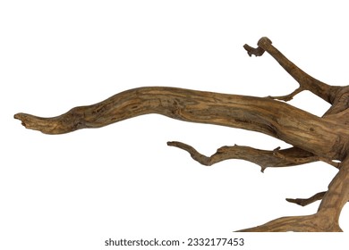 Driftwood or aged wood root textured isolated on white background with clipping path