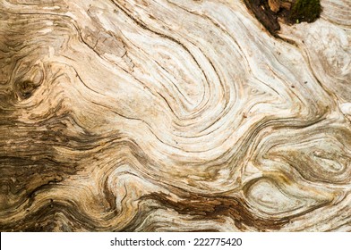 Driftwood background