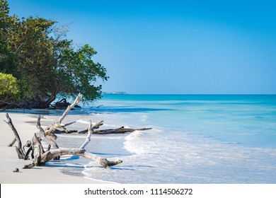 Seashore Images Stock Photos Vectors Shutterstock