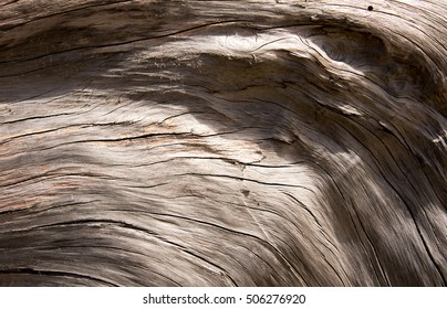 Driftwood Closeup.